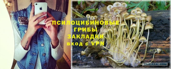 дурь Армянск
