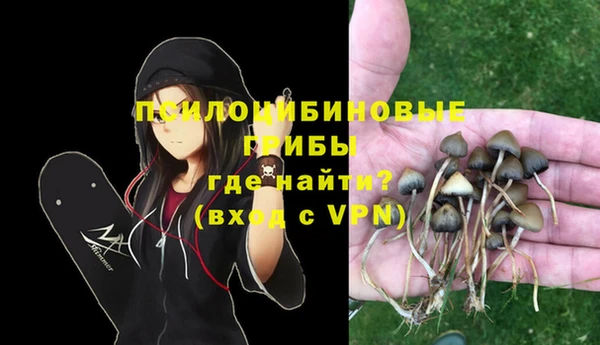дурь Армянск