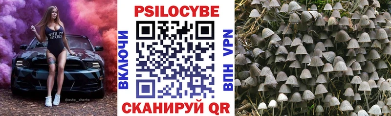 где купить наркотик  hydra как зайти  Псилоцибиновые грибы прущие грибы  Балтийск 